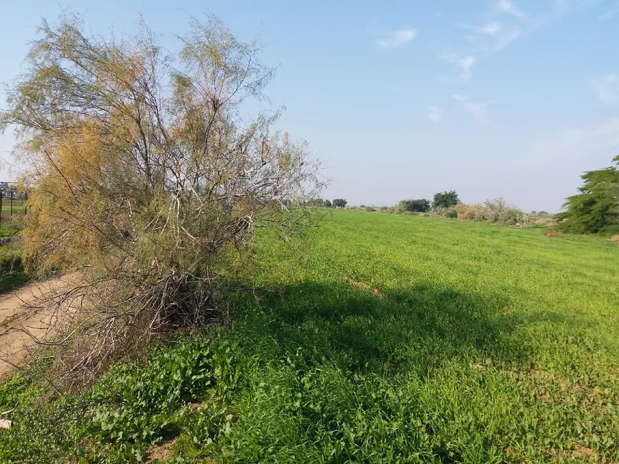 تصویر ۱ - اقامتگاه بوم‌گردی باپیر (اتاق شمار یک) در  دشتی