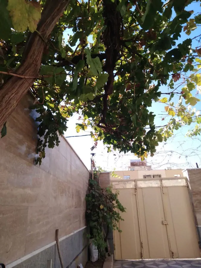تصویر ۱ - سوییت ییلاق، دنج و راحت  در  صدرا