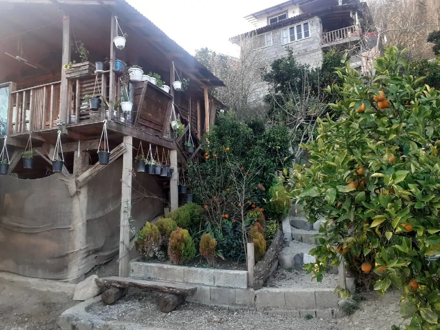 تصویر ۱ - کلبه جنگلی در  جواهرده