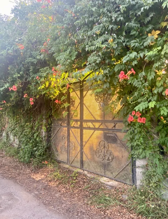 تصویر ۱ - ویلا ویلای گل انار در  عباس آباد