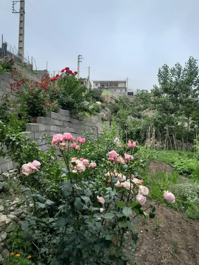 تصویر ۱ - ویلا ویلا کوهستانی در دراسله نزدیک آبشار در سوادکوه