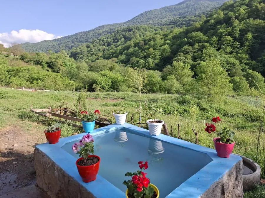 تصویر ۱ - کلبه کلبه جنگلی نپارسر در  پل سفيد