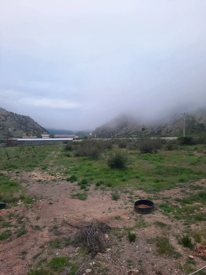 تصویر ۱ - سوییت معمولی و ابو هوای عالی خواب راحت در بجنورد