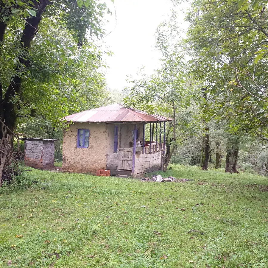 تصویر ۱ - کلبه مبین دنیایی  در  آستارا