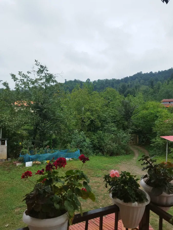 تصویر ۱ - ویلا ویلای جنگلی  در  فومن