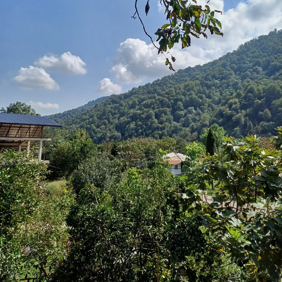 تصویر ۱ - ویلا خورسندی در  ماسال