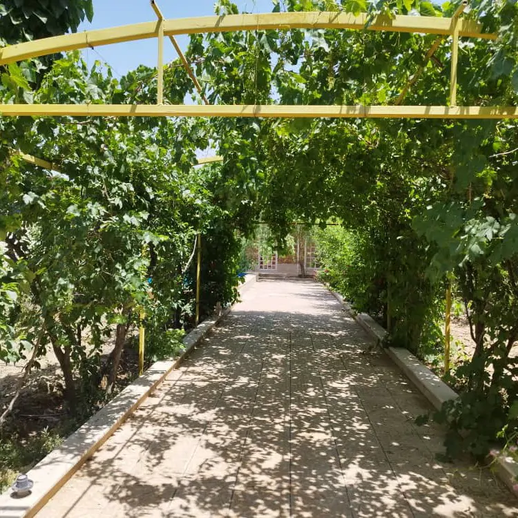تصویر ۱ - ویلا محیطی سرسبز و دنج در  سهیلیه