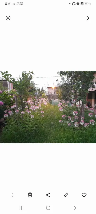 تصویر ۱ - ویلا ویلای شمالی پسران غریب در  اسالم