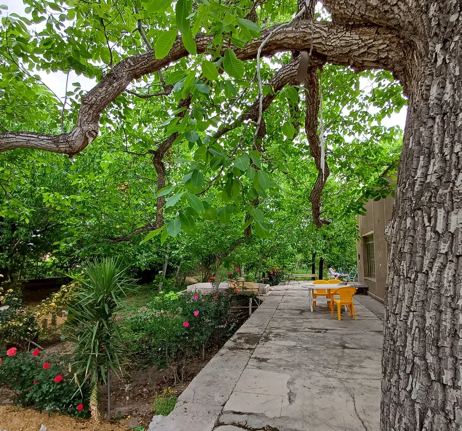 تصویر ۱ - ویلا خانه گردو در راین کرمان