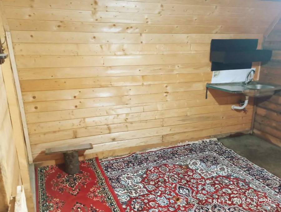 تصویر ۱ - کلبه کلبه سوییسی در بامسبز ماسال با محیطی اروم دلنشین منظره جنگلی در ماسال