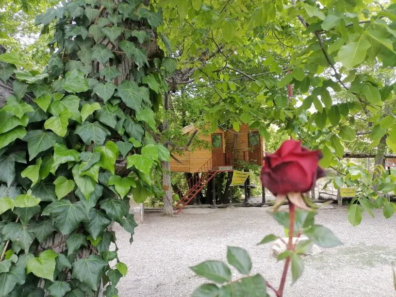 تصویر ۱ - کلبه آوای رودخانه در بافت