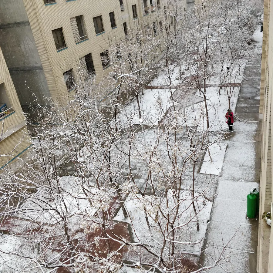 تصویر ۱ - آپارتمان یاس در  زاهدان