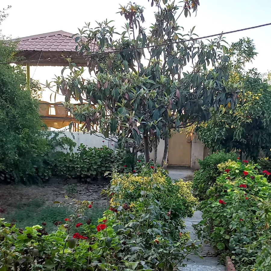 تصویر ۱ - ویلا ساحلی در  نور