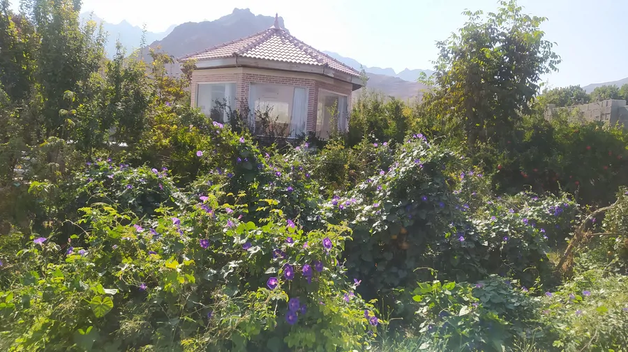 تصویر ۱ - ویلا باغ روشنا در  تفت