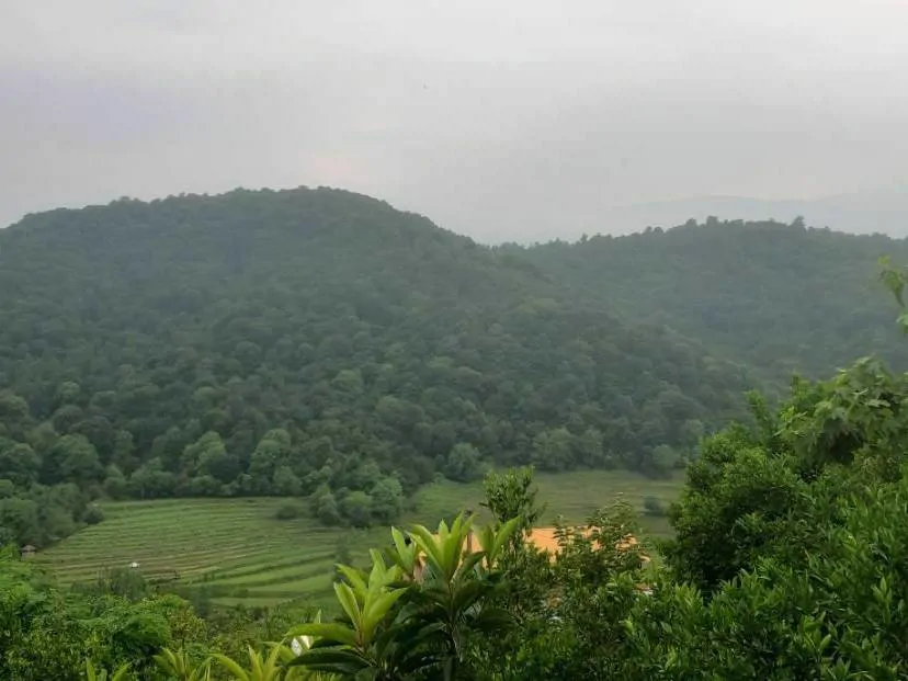 تصویر ۱ - خانه سرای عشق لفور شیرگاه در  لفور