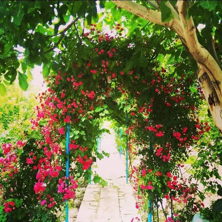 تصویر ۱ - اقامتگاه بوم‌گردی گلستان پدری در  نجف آباد