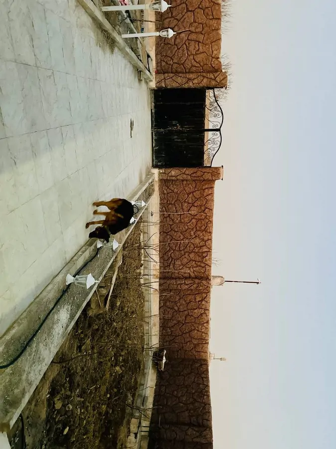 تصویر ۱ - ویلا ویلاتازه ساخت و لاکچری در  شهریار