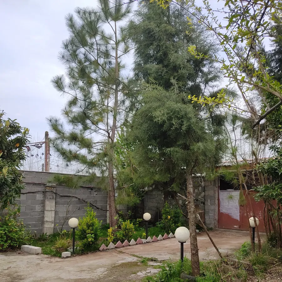 تصویر ۱ - ویلا فدائی در  رشت
