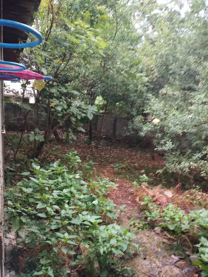 تصویر ۱ - خانه سبزباران در  ماسال