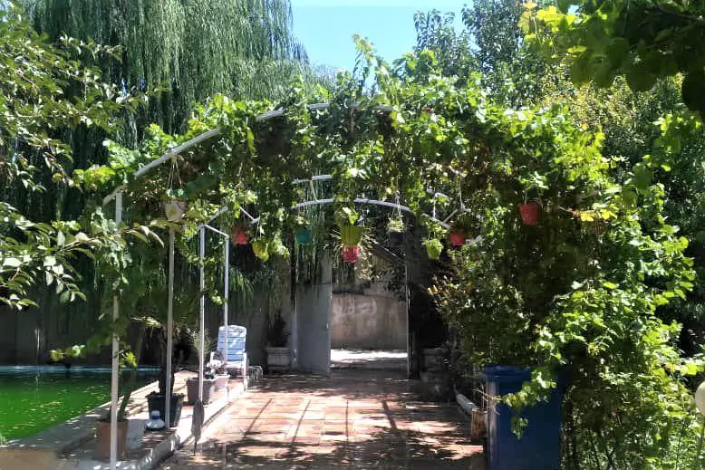 تصویر ۱ - ویلا اجاره ای لشگرآباد روزانه در  سهیلیه