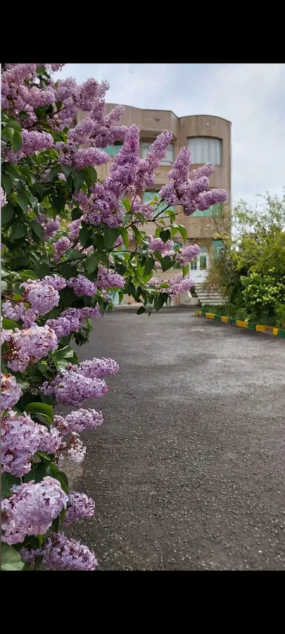 تصویر ۱ - ویلا واحد خورشید فردین  در  سرعین