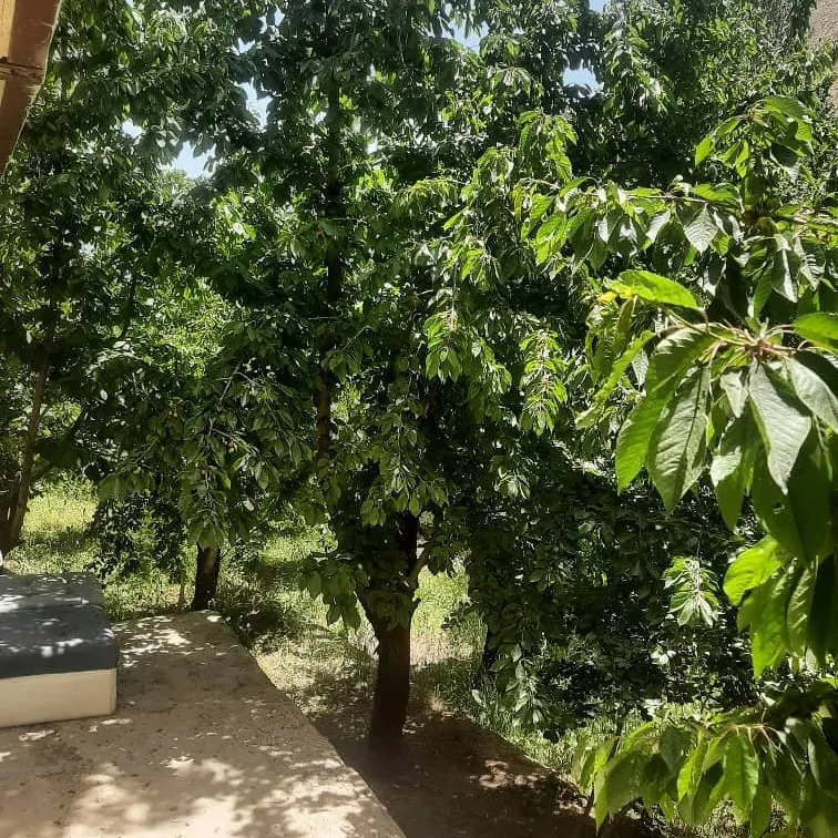 تصویر ۱ - ویلا باغ میوه دربست در  فشم