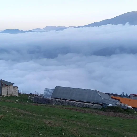 تصویر ۱ - کلبه ماسال کلبه جنگلی ییلاق شنبهراه در  ماسال