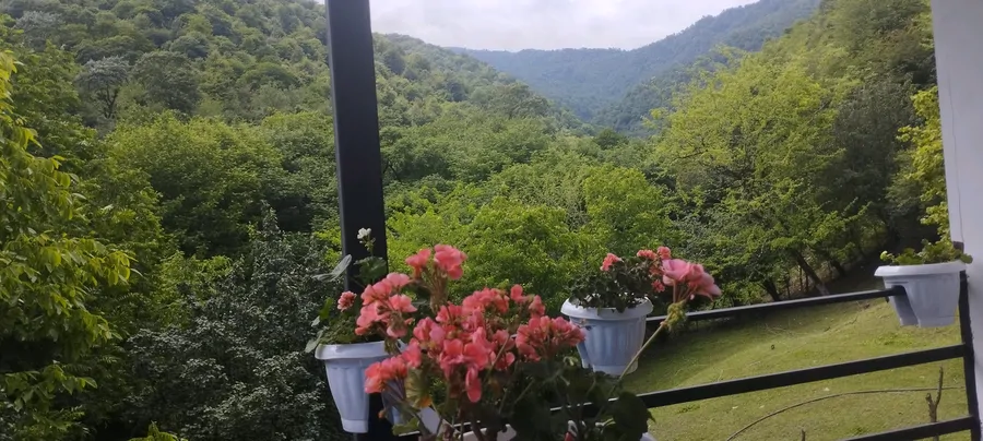 تصویر ۱ - ویلا جنگلی تبسم در ماسال