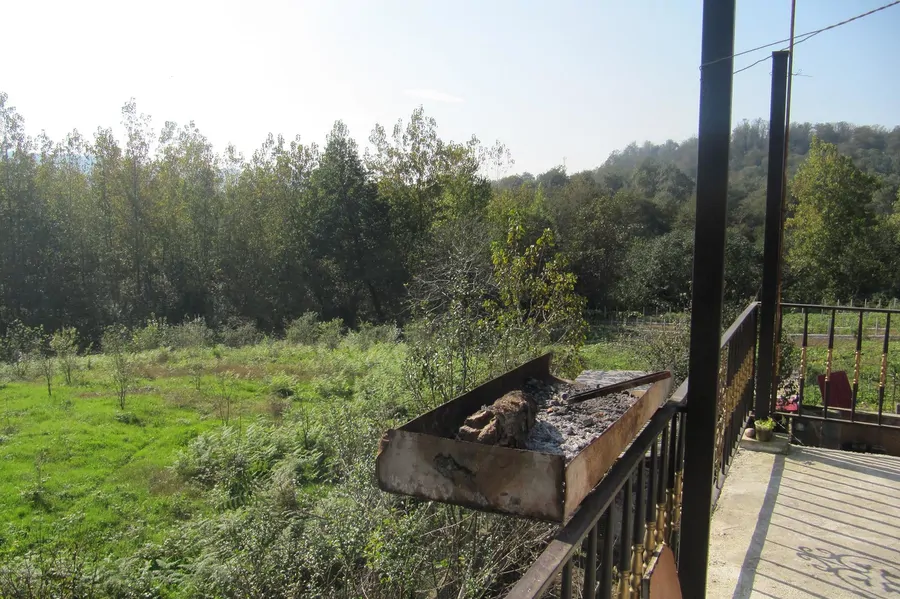 تصویر ۱ - آپارتمان اجاره خانه در شیرگاه میان باغ در  شیرگاه