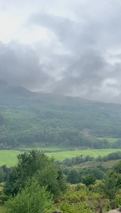 تصویر ۱ - ویلا ویلا جنگلی دو خوابه عرفان در  زیراب