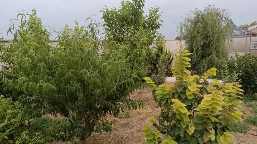 تصویر ۱ - ویلا استخر آبگرم سر پوشیده زندی لک  در  شیراز