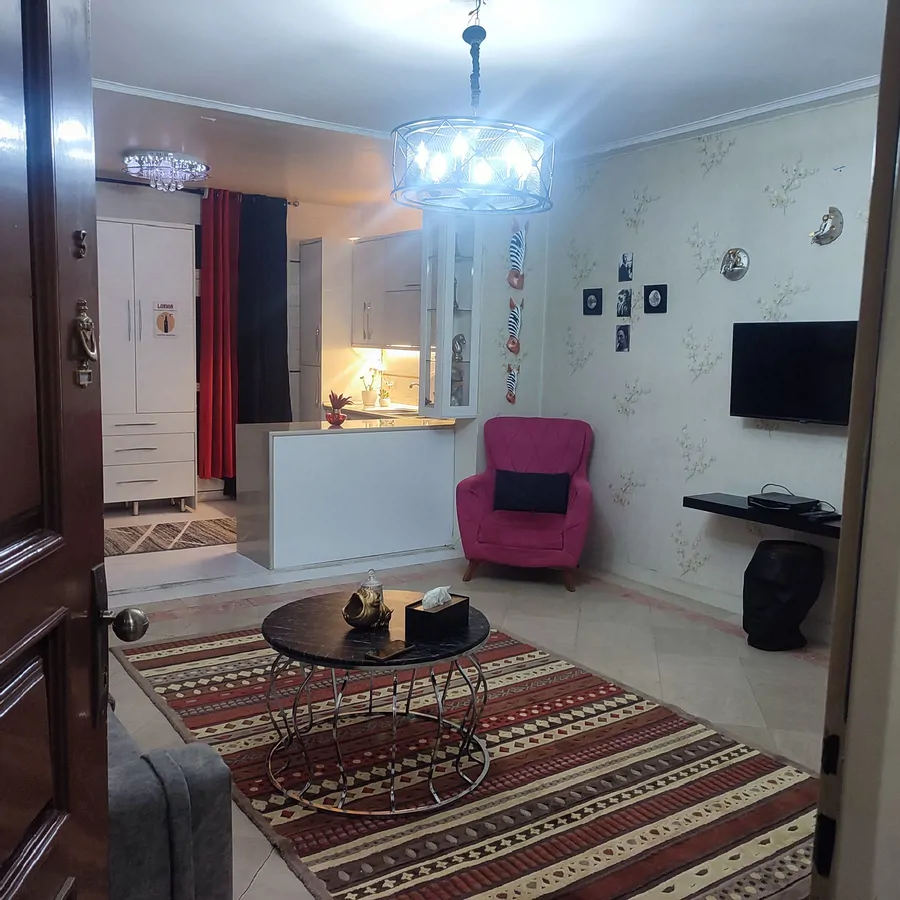 تصویر ۱ - آپارتمان مبله تارا در سازمان برنامه جنوبی در  تهران