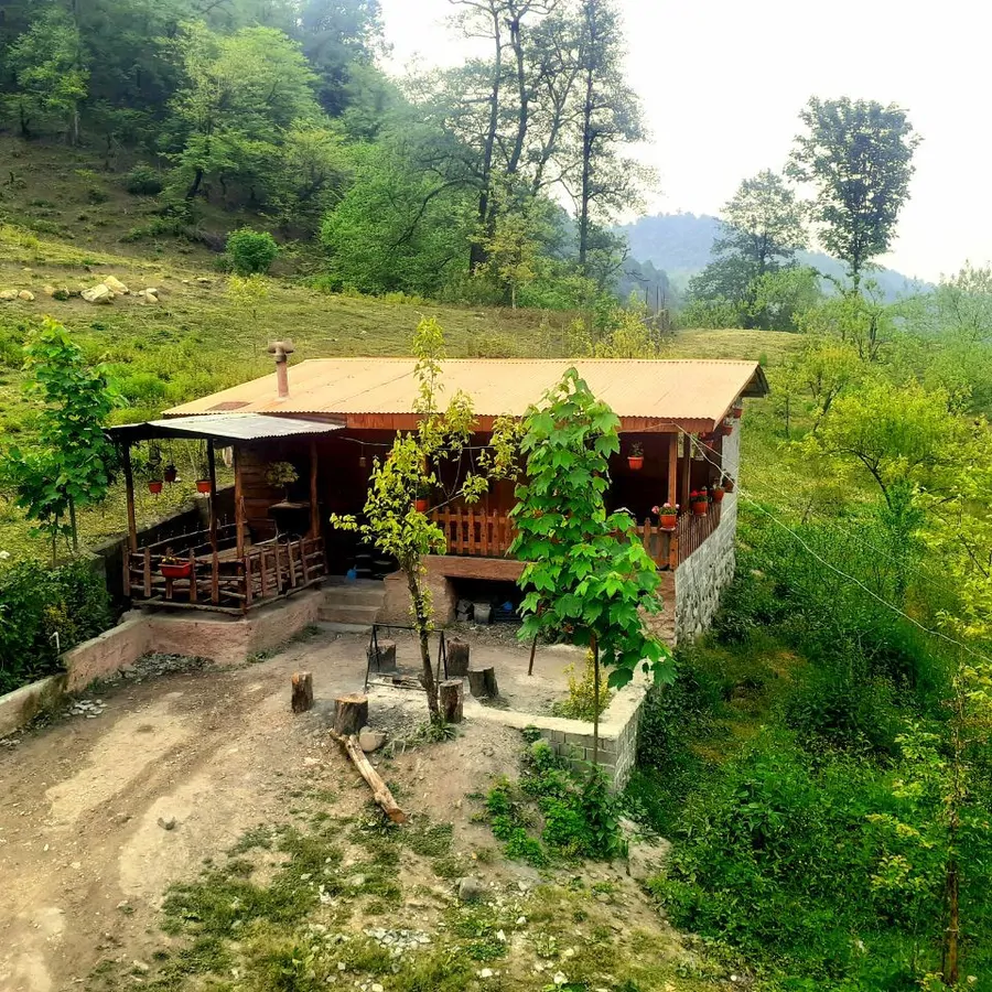 تصویر ۱ - کلبه کلبه جنگلی زرین دشت در  شیرگاه