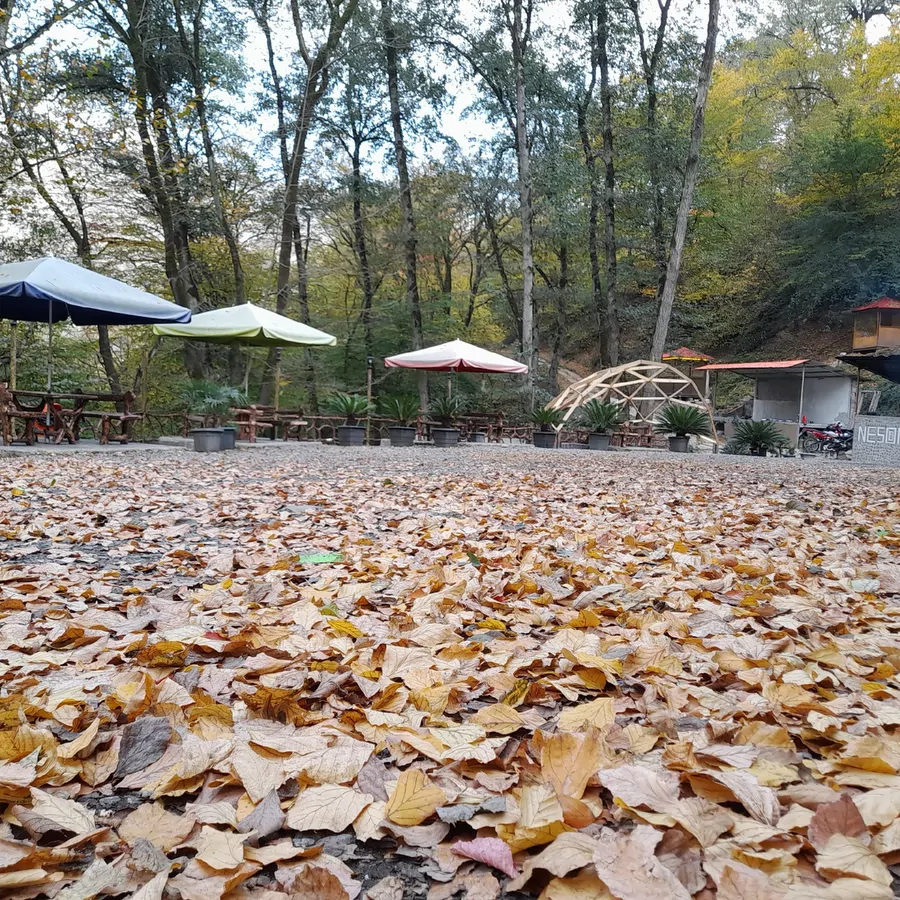تصویر ۱ - کلبه پارک جنگلی نسوم در  سوادکوه