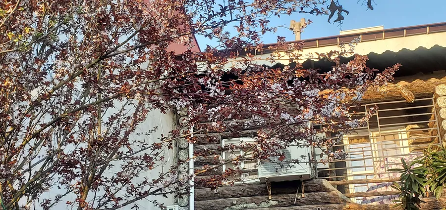 تصویر ۱ - ویلا اقامتگاه قصر باران در  رشت