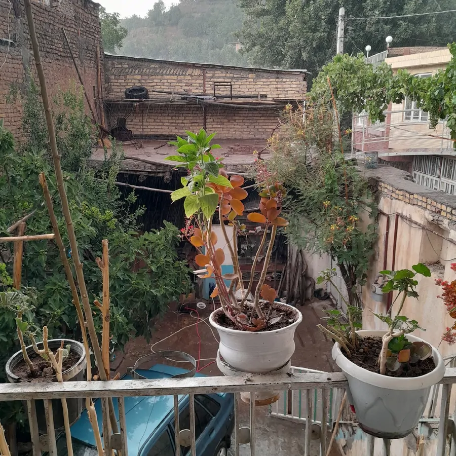تصویر ۱ - خانه غفاری در  نیشابور