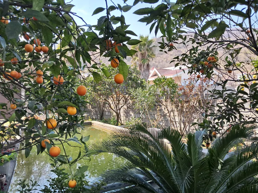 تصویر ۱ - سوییت جنگلی مرادی سلیمان آباد در  شیرود