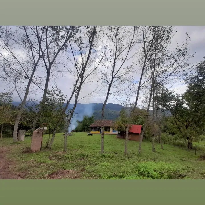 تصویر ۱ - روستایی و عشایری خانه شیرین در  تالش