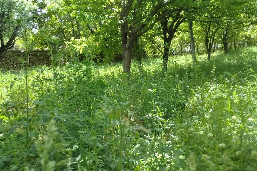 تصویر ۱ - اقامتگاه بومگردی مرمرشک 3 در بافت
