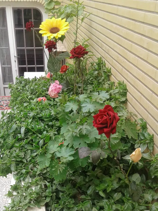 تصویر ۱ - خانه سوئیت اجاره ای در  کاشان