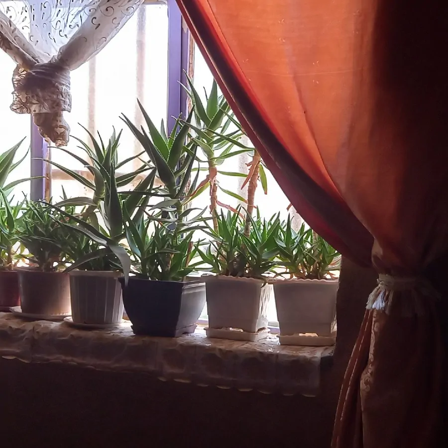 تصویر ۱ - اقامتگاه بوم‌گردی کلبه خوش در  گرماب