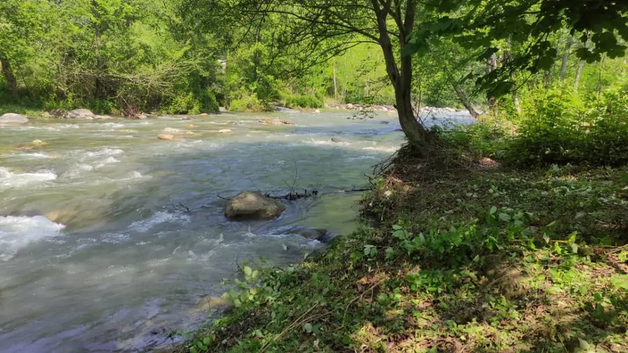 تصویر ۱ - ویلا کلبه چوبی جنگلی در  شیرگاه