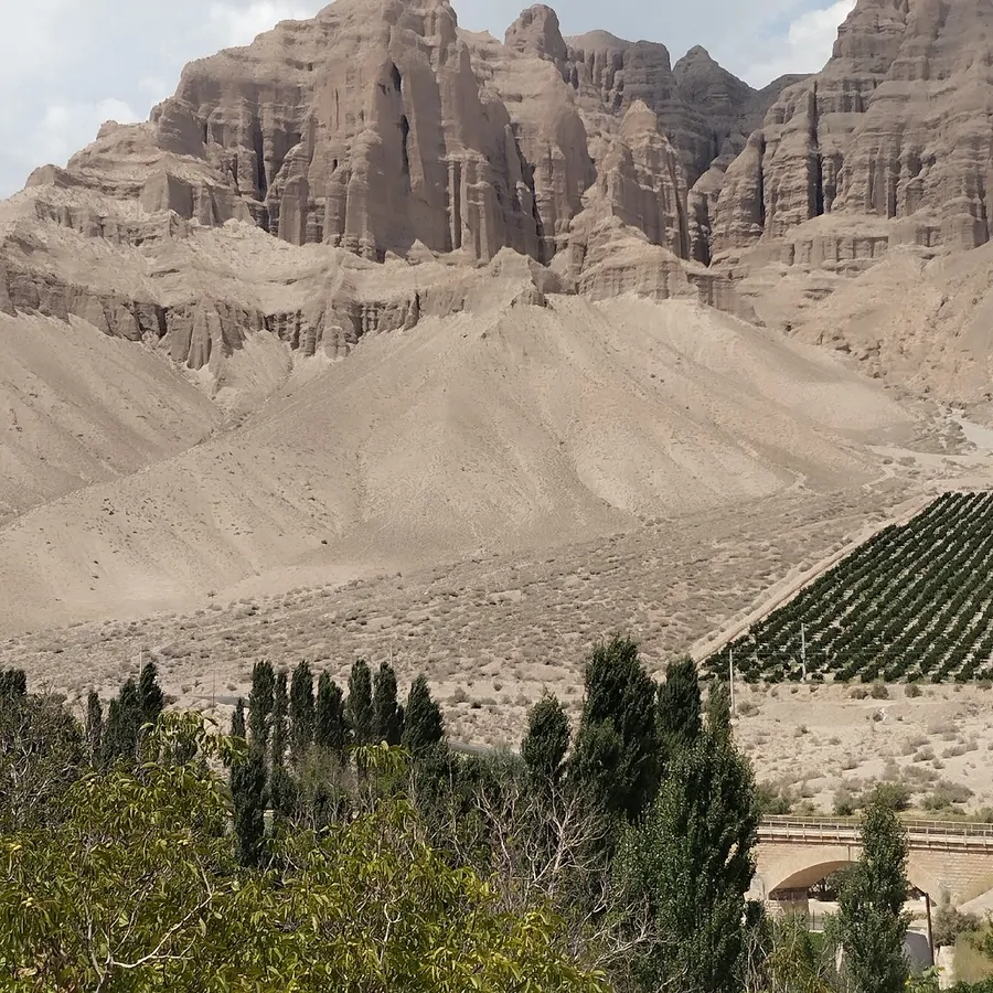 تصویر ۱ - سوییت اقامتگاه داداشی در  فیروزکوه 