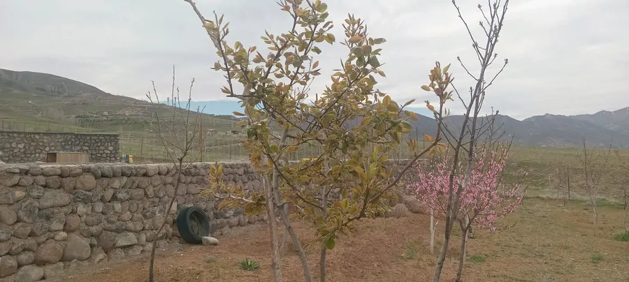 تصویر ۱ - روستایی و عشایری مزرعه نور کمپینگ بومگردی طبیعتگردی در طالقان
