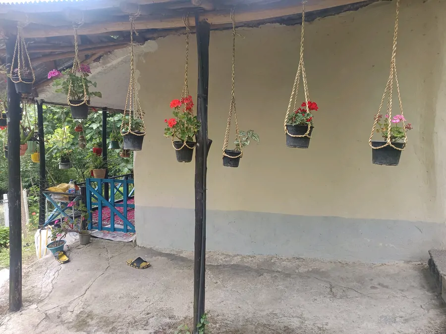 تصویر ۱ - کلبه سنتی جنگلی در رشت