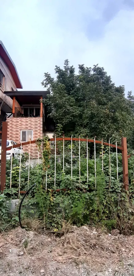 تصویر ۱ - کلبه کلبه آزادی  در  قائمشهر