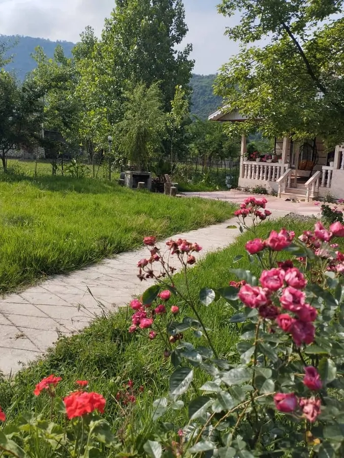 تصویر ۱ - ویلا ویلای جنگلی  در  ماسال