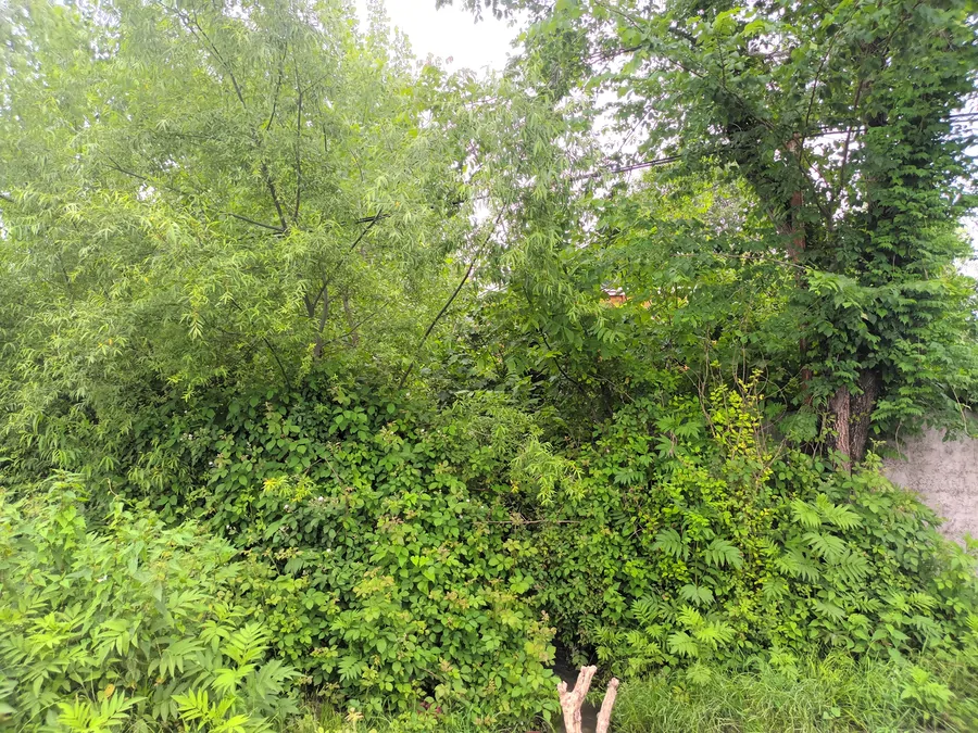 تصویر ۱ - کلبه کلبه چوبی خاتون در  ماسال