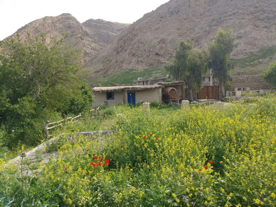 تصویر ۱ - روستایی و عشایری الیما(واحد۴) در  ایذه