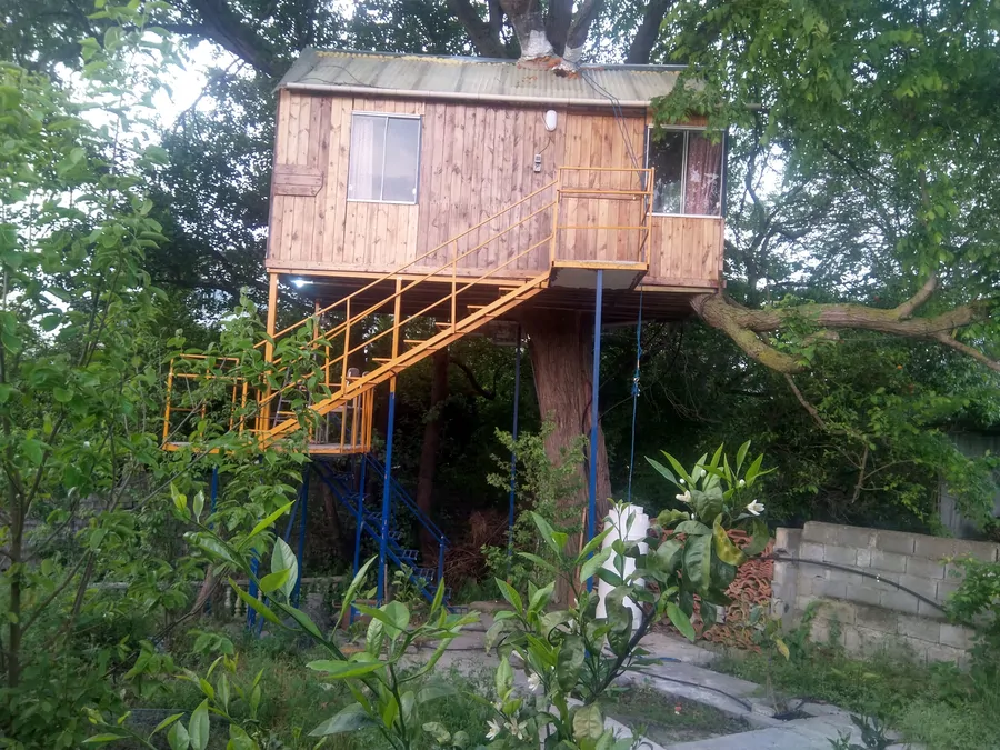 تصویر ۱ - کلبه خونه درختی فرهاد در  نور